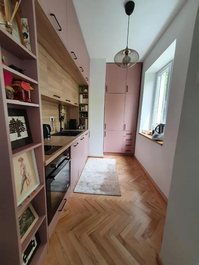 Spacious And Quiet 1Br Apartment In Floreasca Bucharest 0*,  Romania